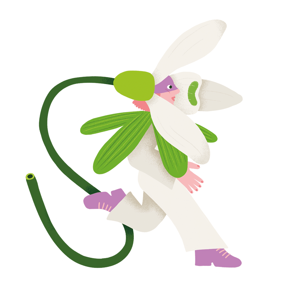 Illustration d'une personne humanoïde stylisée vêtue de blanc et de bottes violettes, ayant une tête de perce-neige blanche et verte avec de longs pétales et un masque violet, sur un fond gris clair.