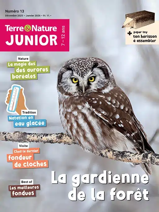 La couverture du magazine Terre&Nature Junior de Décembre 2025